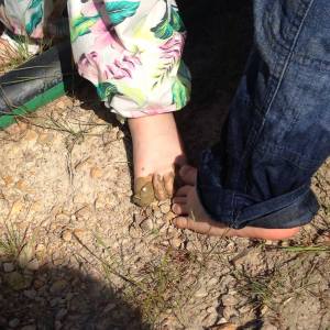 10551621_10152480210882621_5224710571259859236_o