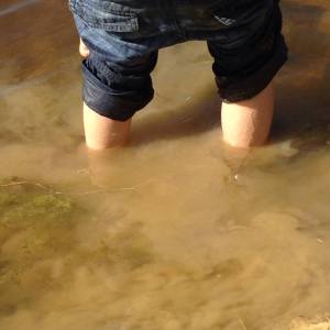 10669213_10152480210862621_8413133822216194800_o