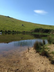 10688401_10152480211297621_7707664785613895802_o